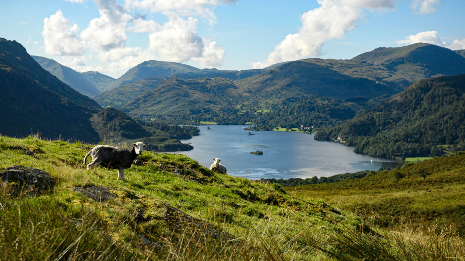 Travel To The Uk During Covid 19: What You Need To Know Before You Go
