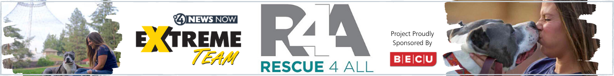 Extremeteam Rescue4all Project Webpage Header