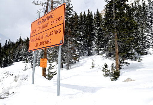 Snowboarders Escaped Monster Avalanche, But Not The Law