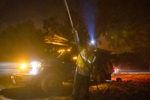 Report: California Wildfire Sparked When Tree Hit Power Line