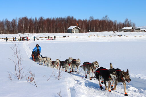 Last Musher Brings Dogs Over Alaska’s Iditarod Finish Line