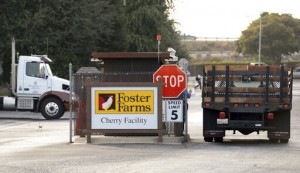 Report: Fresno Chicken Plant Got Tip About Virus Inspection