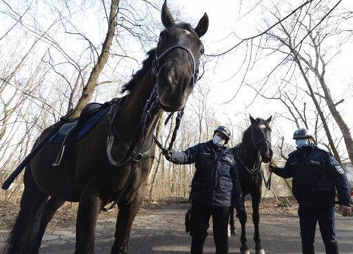 Poland Plans Pensions For Dogs, Horses In State Employment