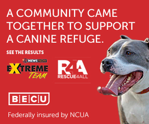 Spon 19 Rescue4all Display Ad 300x250 3