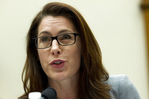 Some States To Seek Gun Waiting Periods After Shootings
