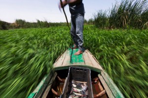 Ethiopia Rejects Outside Mediation In Nile River Dam Dispute