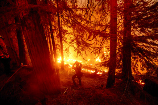 California Plans $536m For Forests Before Wildfire Season