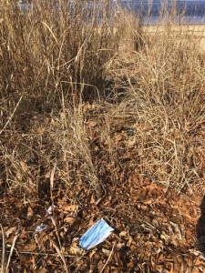 Discarded Masks Litter Beaches Worldwide, Threaten Sea Life