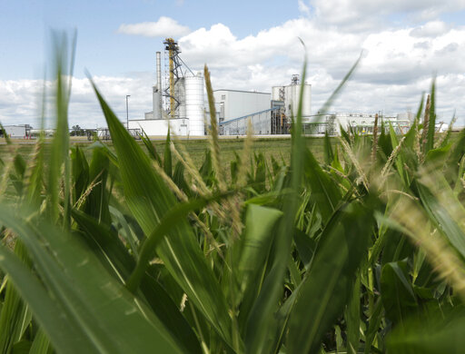 Biofuels Producers, Farmers Not Sold On Switch To Electric