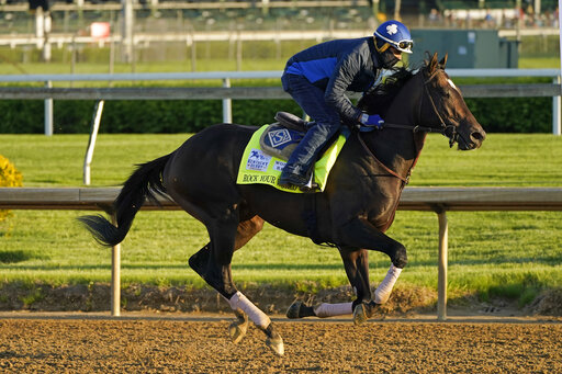 Essential Quality Is 2 1 Favorite For The Kentucky Derby
