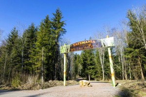 Monkey Business: 2 Dozen Barbary Macaques Escape German Zoo