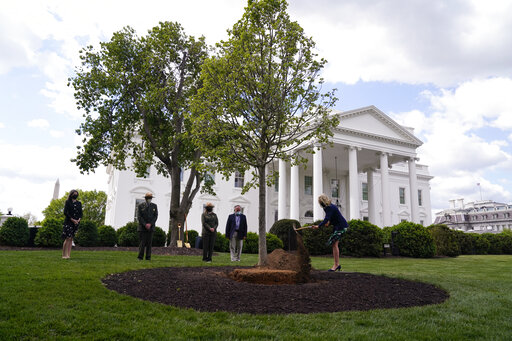 Jill Biden Plants Tree As White House Readies For Family Cat