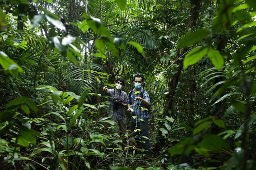 Scientists Get Creative To Carry On Research During Pandemic