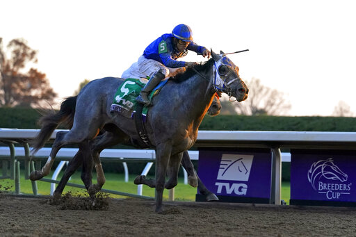 Shades Of Gray Rare Among Kentucky Derby Favorites, Winners