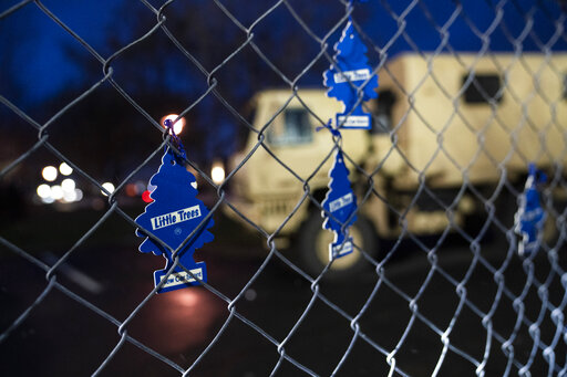 Explainer: Can Cops Stop Drivers For Hanging Air Fresheners?