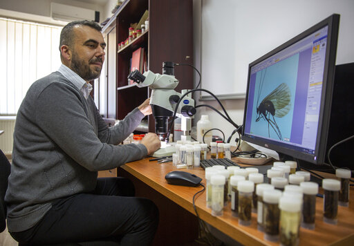 Kosovar Biologist Calls Newly Found Insect After Coronavirus