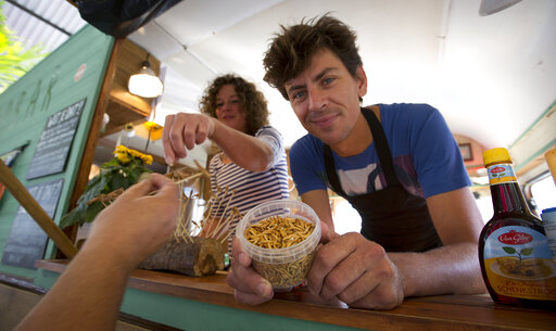 Food Of The Future? Eu Nations Put Mealworms On The Menu
