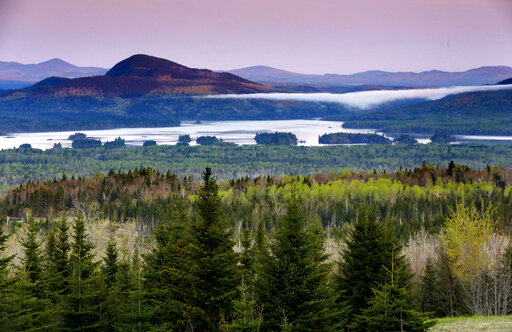Clean Megaprojects Divide Surprise Group: Environmentalists
