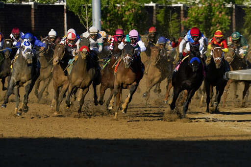 Kentucky Derby, Nfl Draft Pull In Television Viewers