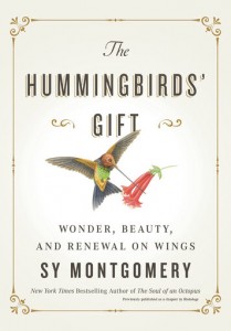 Review: A Hummingbird Book That’s Like Them — Zippy And Fun