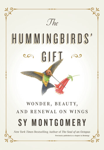 Review: A Hummingbird Book That’s Like Them — Zippy And Fun