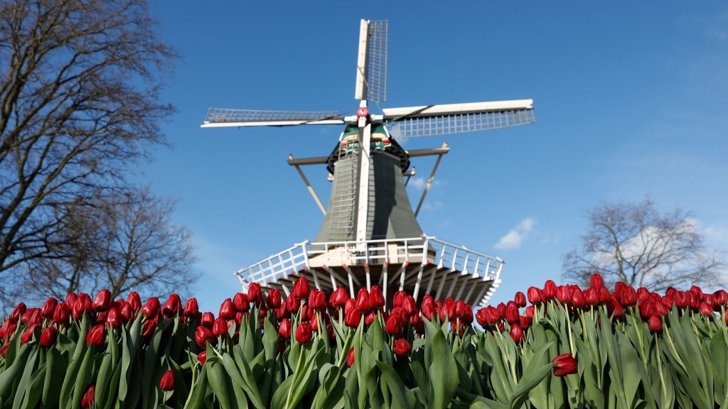 Travel To The Netherlands During Covid 19: What You Need To Know Before You Go