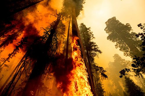 Firefighters In California Face Critical Fire Threat As They Work To Contain Several Large Blazes