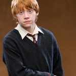 Elections Ed Fallone