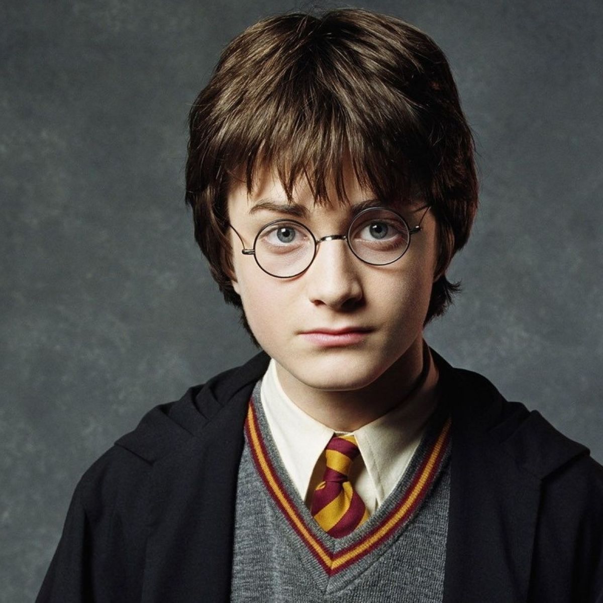 Elections Harry Potter