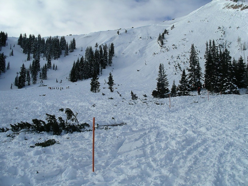 Caught In An Avalanche? You’ve Got 30 Minutes To Survive