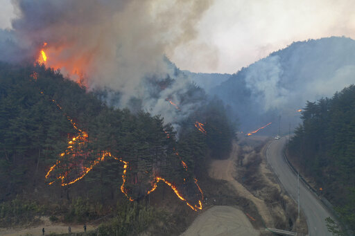 S. Korean Wildfire Destroys 159 Homes, Forces 6,200 To Flee