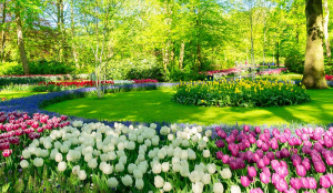 Spring Garden 2