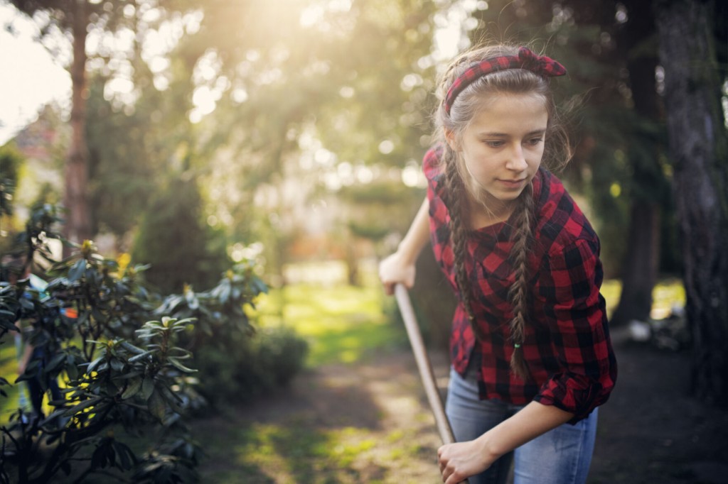 Spruce Up Your Yard This Spring With These Essential Landscape Tools