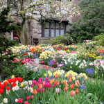 Spring Garden 1