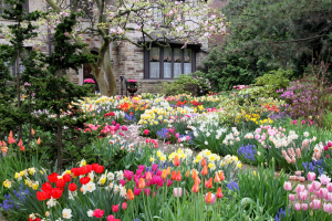 Spring Garden 1