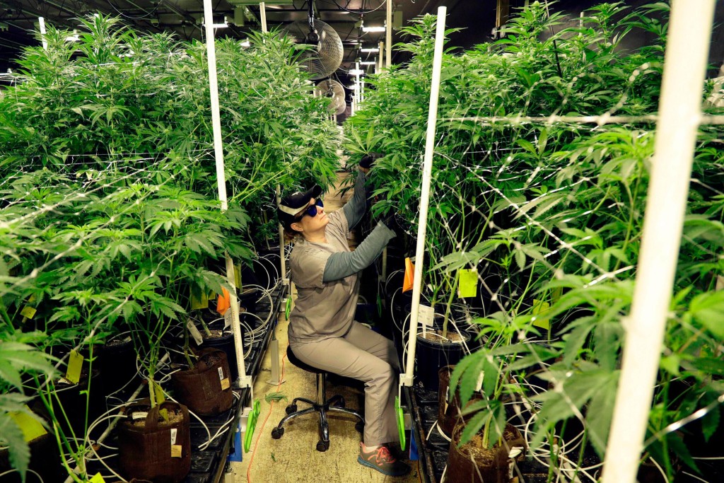 New Jersey To Begin Recreational Cannabis Sales April 21