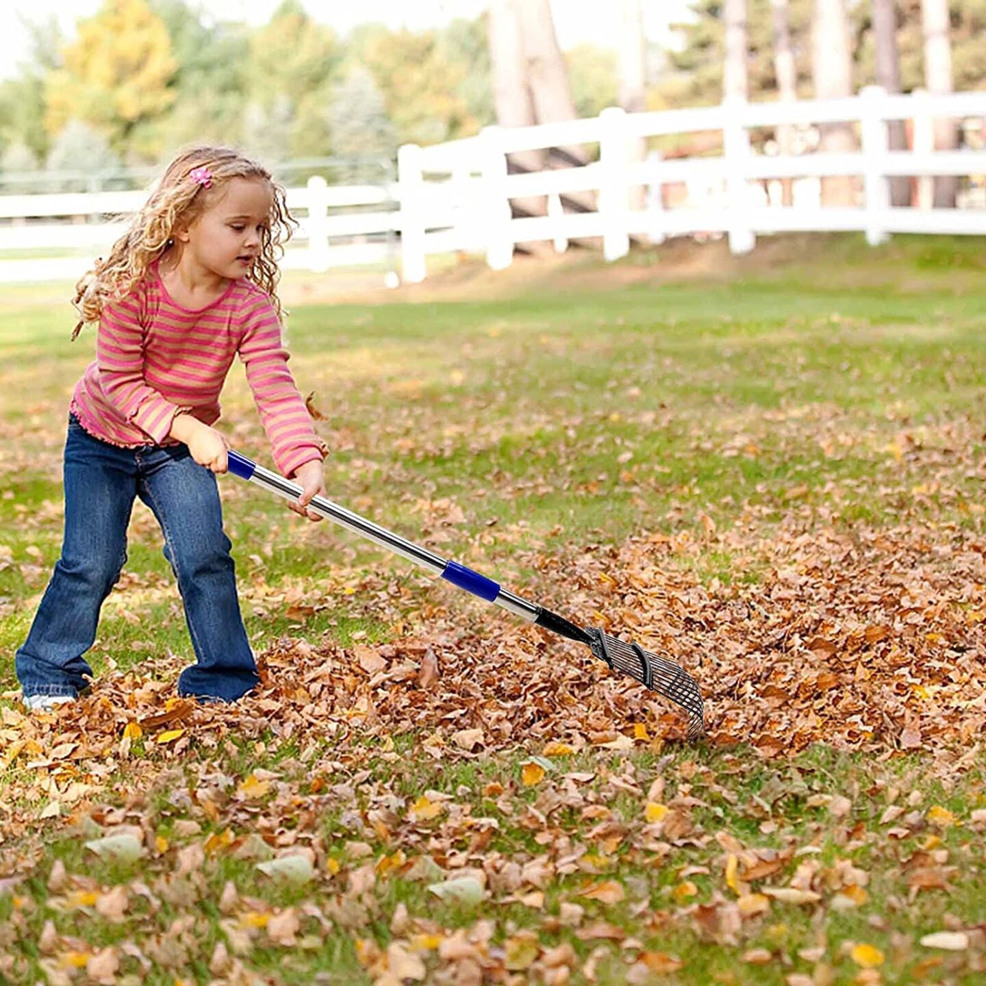 <p><em><a href="https://www.amazon.com/dp/B0969LML5H?tag=leeenter0889-20&linkCode=ogi&th=1" target="_blank">ihomepark’s Garden Rake</a></em></p>