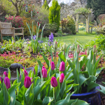 Spring Garden 3
