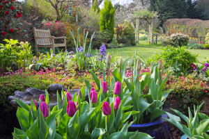 Spring Garden 3