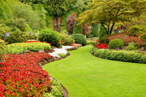 Spring Garden 4