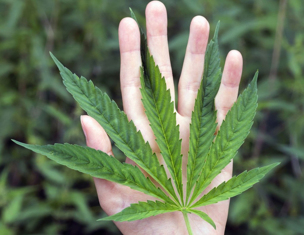 Pot Smoking Moms On Parenting While High: ‘i’m Not Doing Anything Wrong’