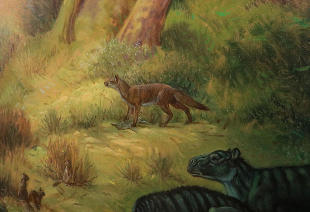 Paleontologists Find Rare Fossil Of Ancient Dog Species