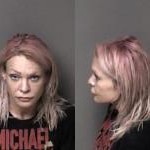 Gaston County Mugshots August 28th