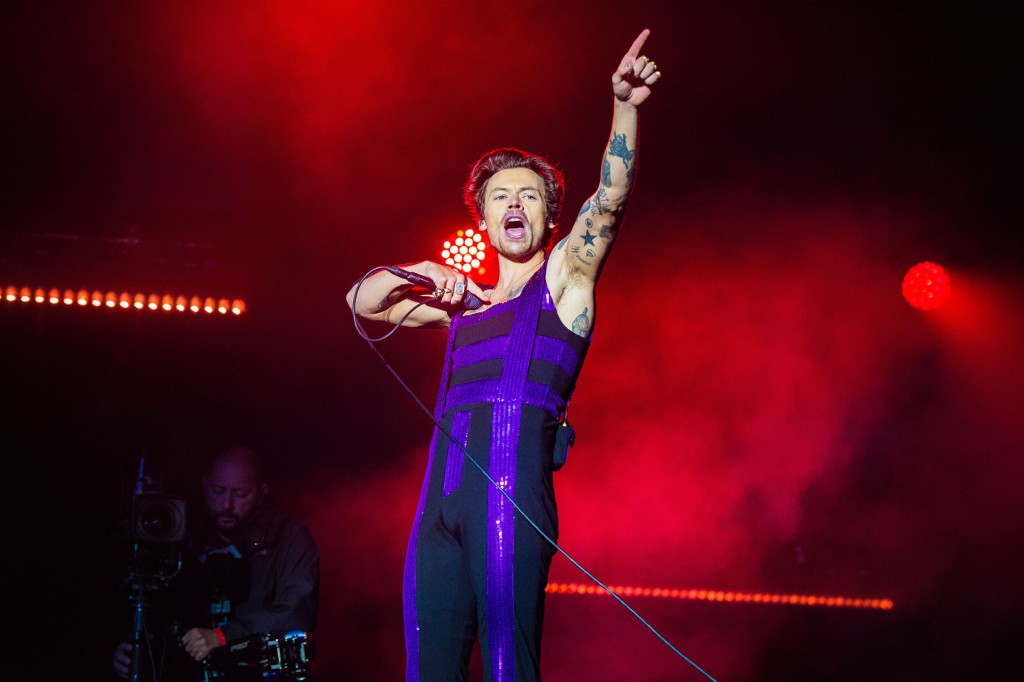 My Colorful, Magical, Dancing, Screaming 40 Something Birthday With Harry Styles