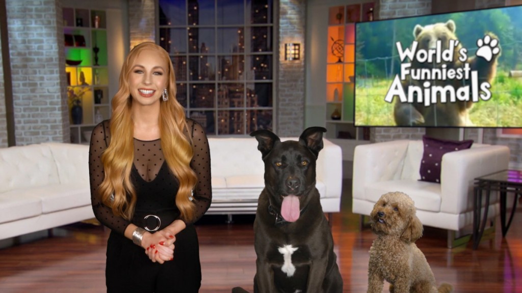 9pm: World’s Funniest Animals