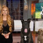 9pm: World’s Funniest Animals
