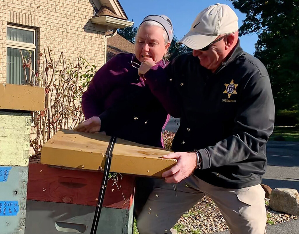 Massachusetts Authorities Accuse Woman Of Unleashing Bees On Deputies During Eviction Protest