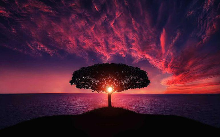 Nature1