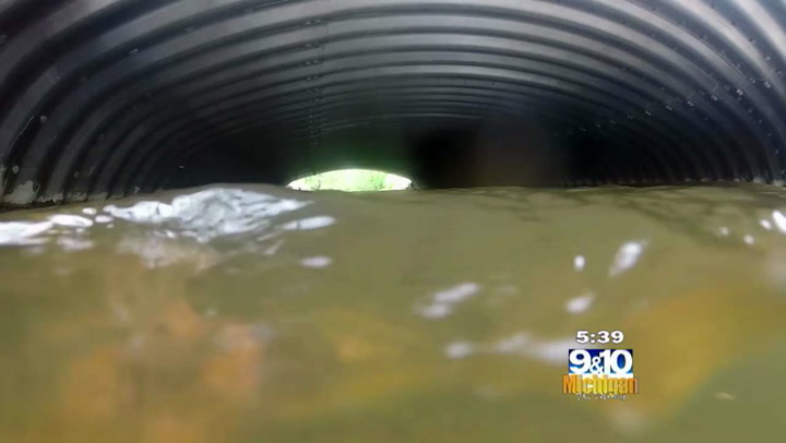 Pere Marquette Receives Grant For Aquatic Restoration
