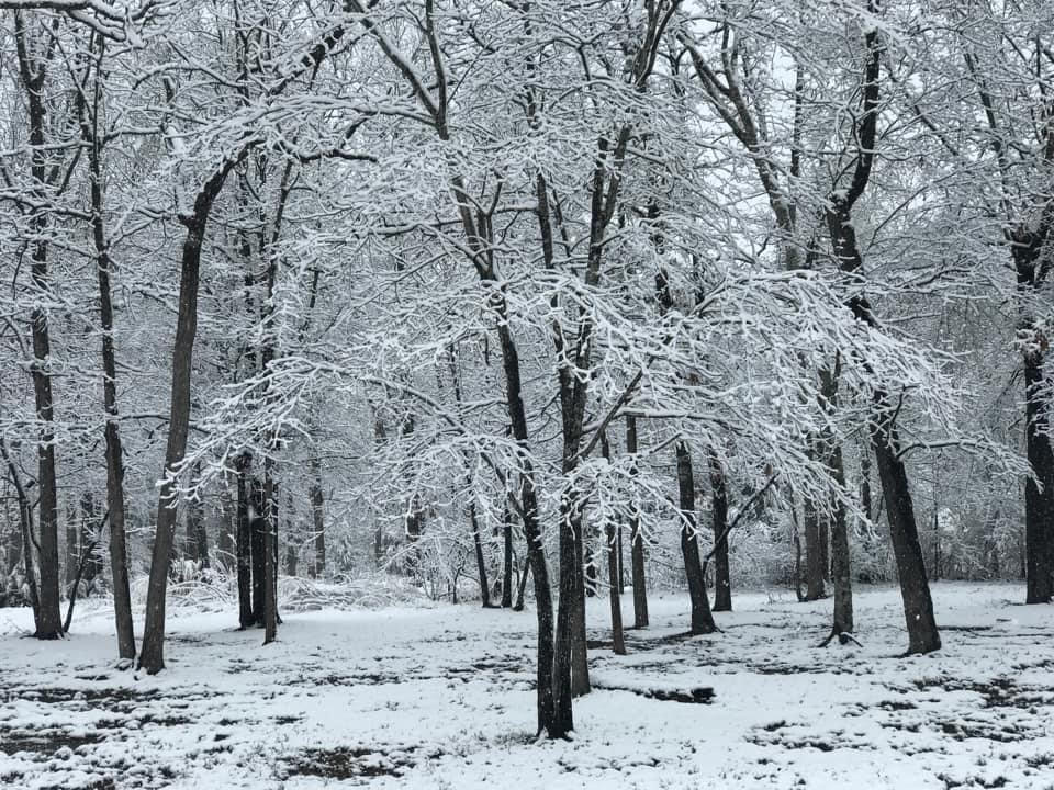 Us Storm Brings Tornadoes, Blizzard Like Conditions; 2 Dead